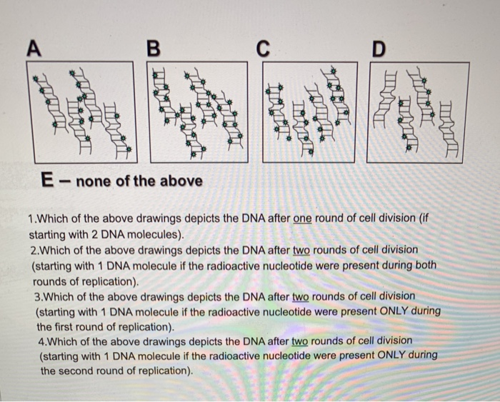 Solved A B D E - none of the above 1. Which of the above | Chegg.com