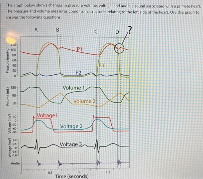 Solved The graph below shows changes in pressure volume, | Chegg.com