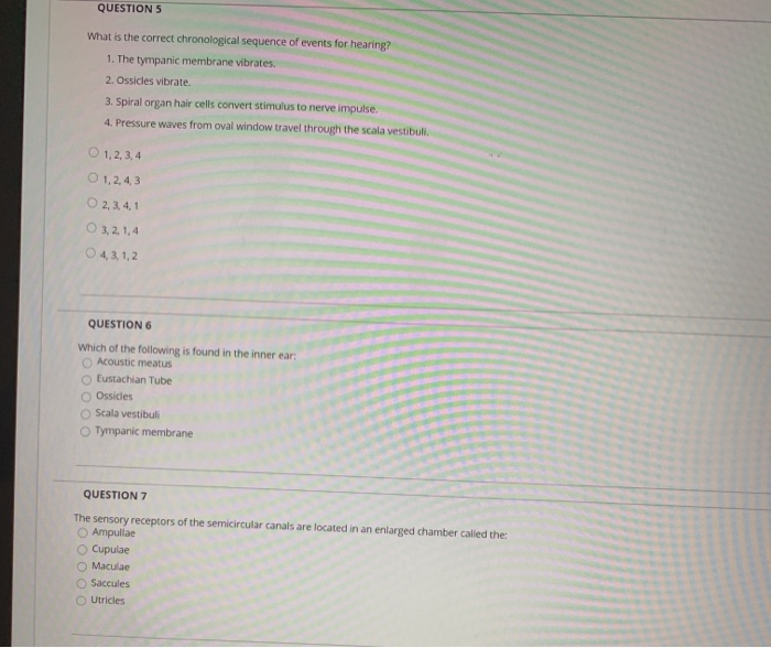 Solved QUESTION 5 What is the correct chronological sequence