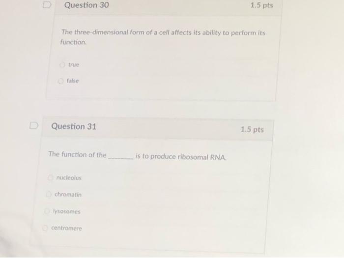 Solved Question 26 1.5 pts What is the function of | Chegg.com