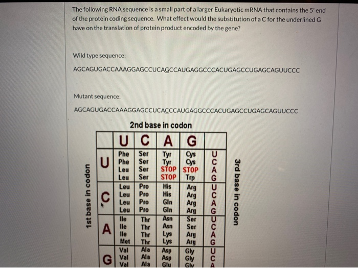 Solved The following RNA sequence is a small part of a | Chegg.com