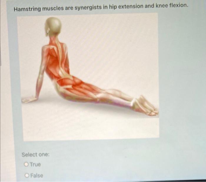 The action of the hamstring muscles is: a. flexion of the knee and