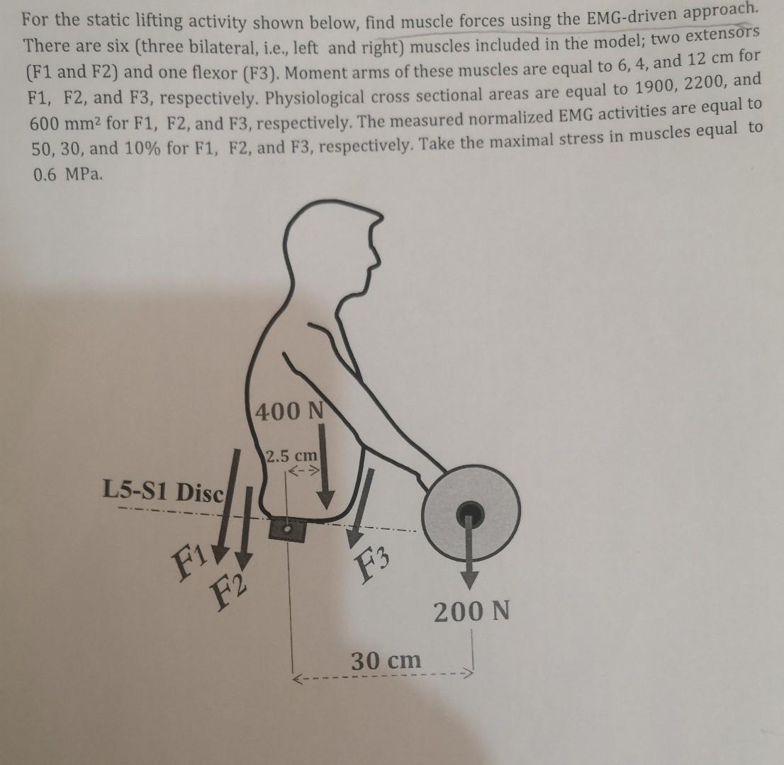 e static lifting activity shown below, find muscle | Chegg.com