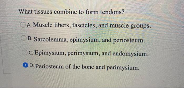 Solved What tissues combine to form tendons? A. Muscle | Chegg.com