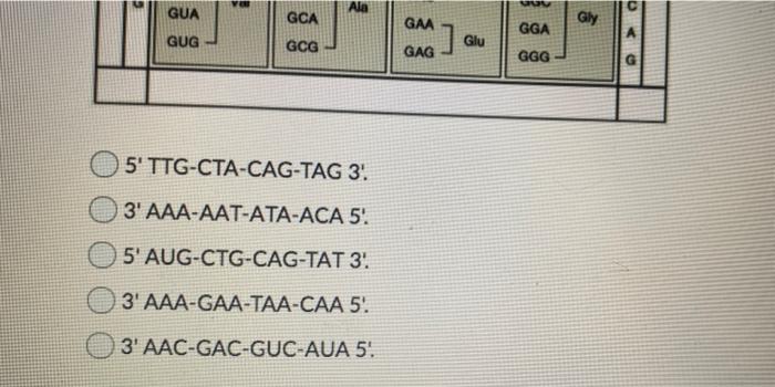 Solved Question 33 (1 point) Use the codon table below for | Chegg.com