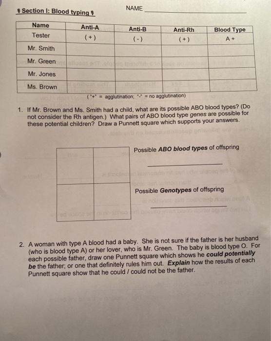 Solved A A Rh Ms Smith Rh Type V B Mr Green Typ Chegg Com