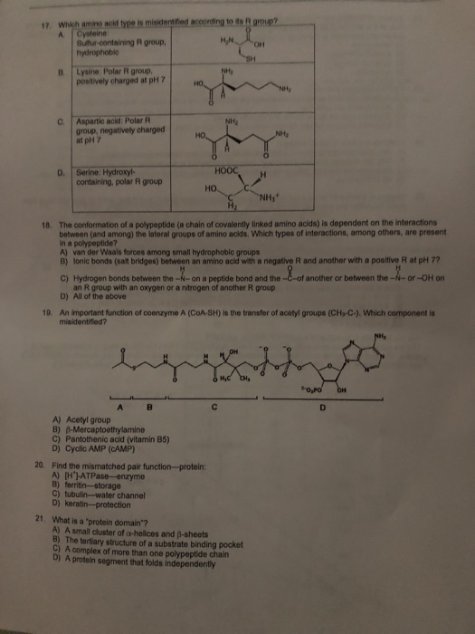 how do hydrophobic amino acids get to a trna how do hydrophobic amino acids get to a trna