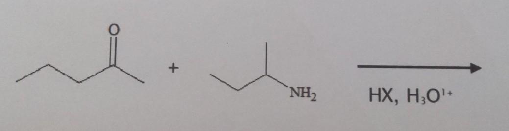 Solved NH2 HX, H20- | Chegg.com