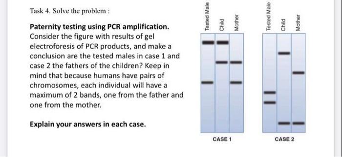Solved Tested Male Tested Male Child Mother Child Mother | Chegg.com