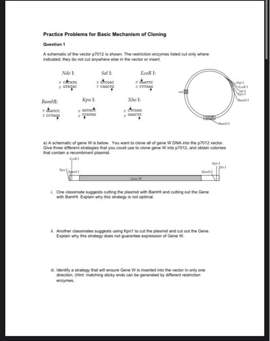 Solved Practice Problems for Basic Mechanism of Cloning