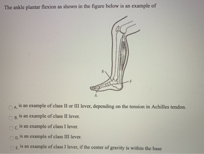 Solved The ankle plantar flexion as shown in the figure