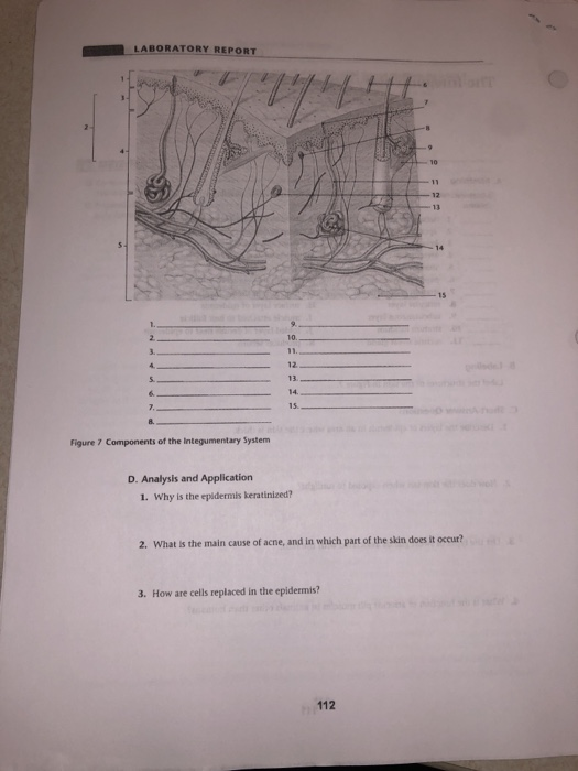 Solved LABORATORY REPORT Figure 7 Components of the | Chegg.com