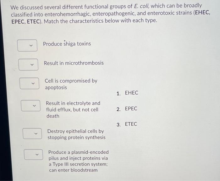 Solved We discussed several different functional groups of | Chegg.com