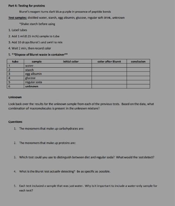 Solved Part 4 Testing for proteins Biuret s reagent turns Chegg