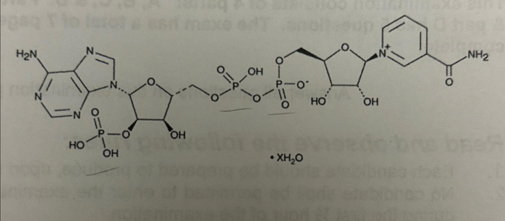 Solved Can you name this structure without any | Chegg.com