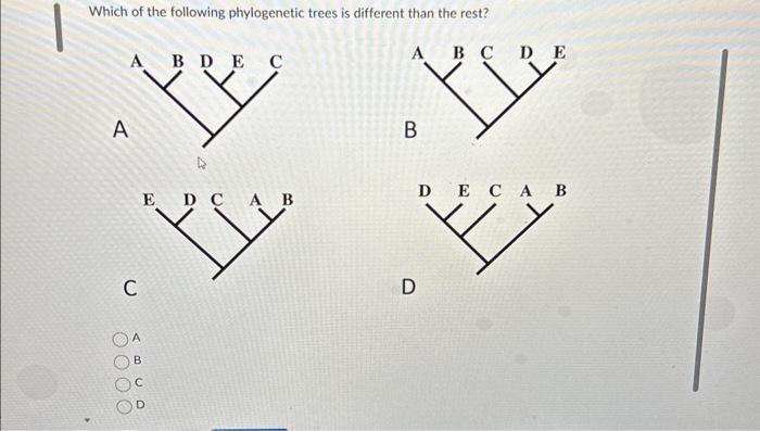 Solved Which Of The Following Phylogenetic Trees Is | Chegg.com