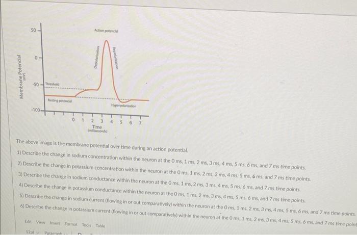 Solved The above image is the membrane potential over time | Chegg.com