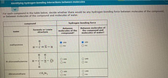 Solved Identifying Hydrogen Bonding Interactions Between Chegg Com