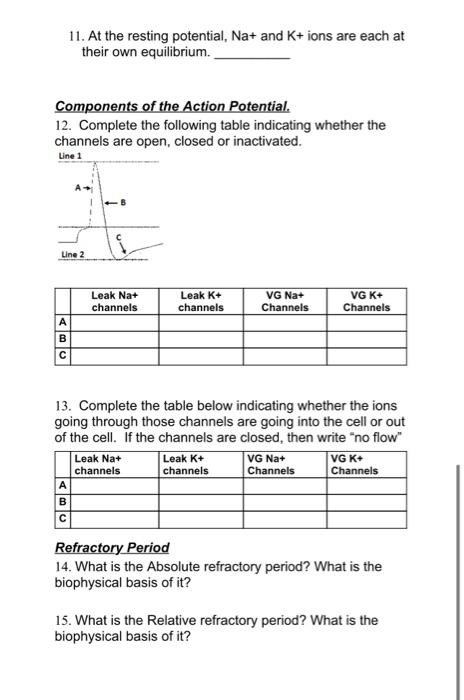 11. At the resting potential, \( \mathrm{Na}+ \) and \( \mathrm{K}+ \) ions are each at their own equilibrium.
Components of