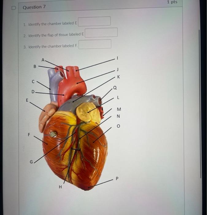 student submitted image, transcription available below