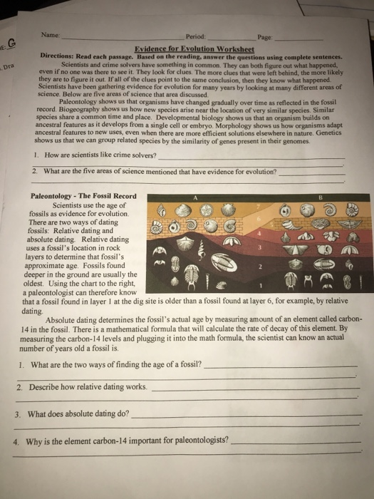 Solved Dra Name Period: Page Evidence for Evolution | Chegg.com