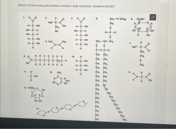 Solved Which of the molecules below contains only nonpolar | Chegg.com