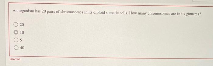 Which Of The Following Describes Crossing Over You Chegg Com