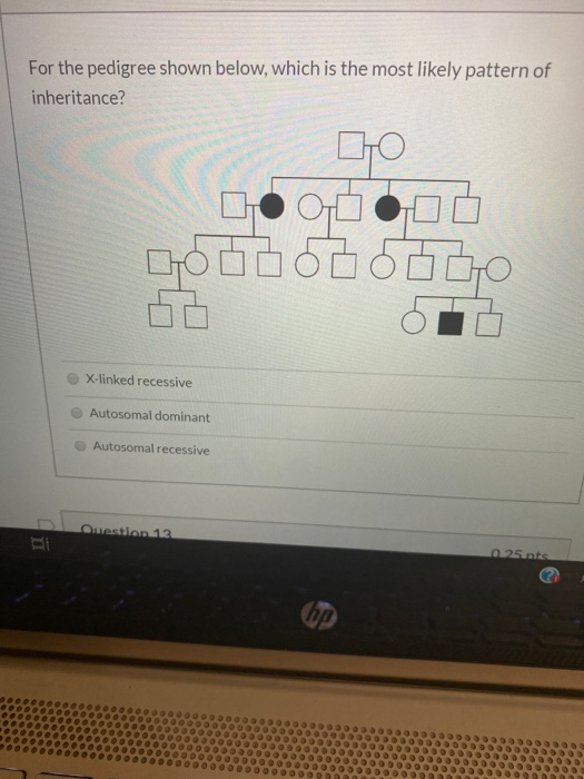 Solved For the pedigree shown below, which is the most | Chegg.com