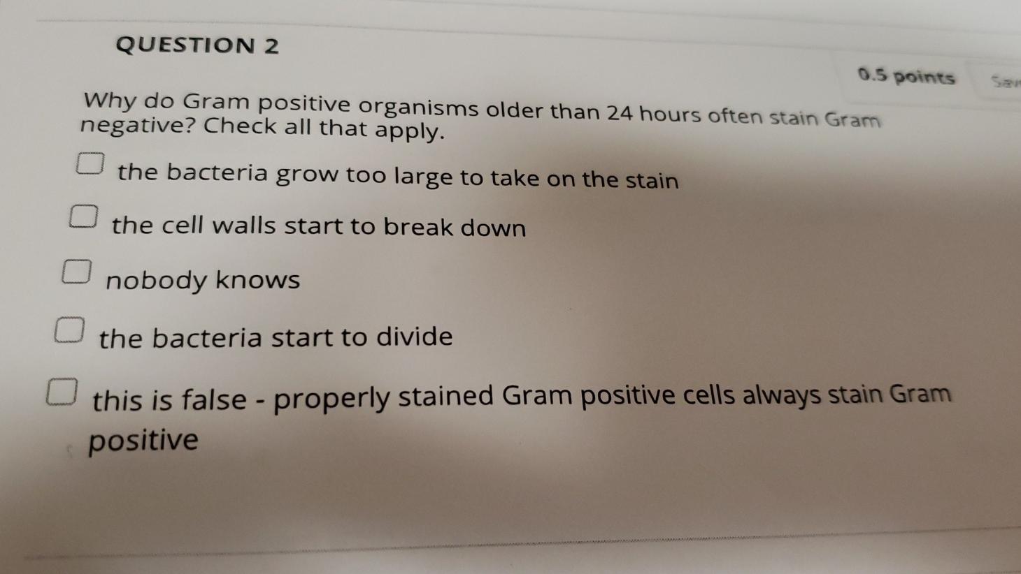 Solved QUESTION 2 0.5 points Why do Gram positive organisms | Chegg.com