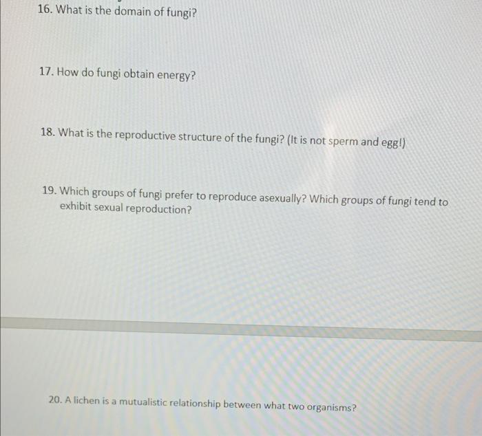 Solved 16. What is the domain of fungi? 17. How do fungi
