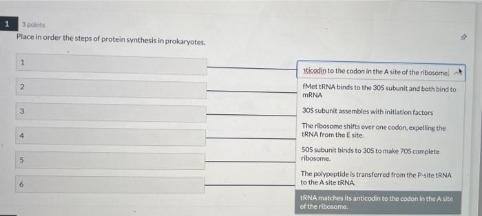 Solved 3 points Place in order the steps of protein | Chegg.com