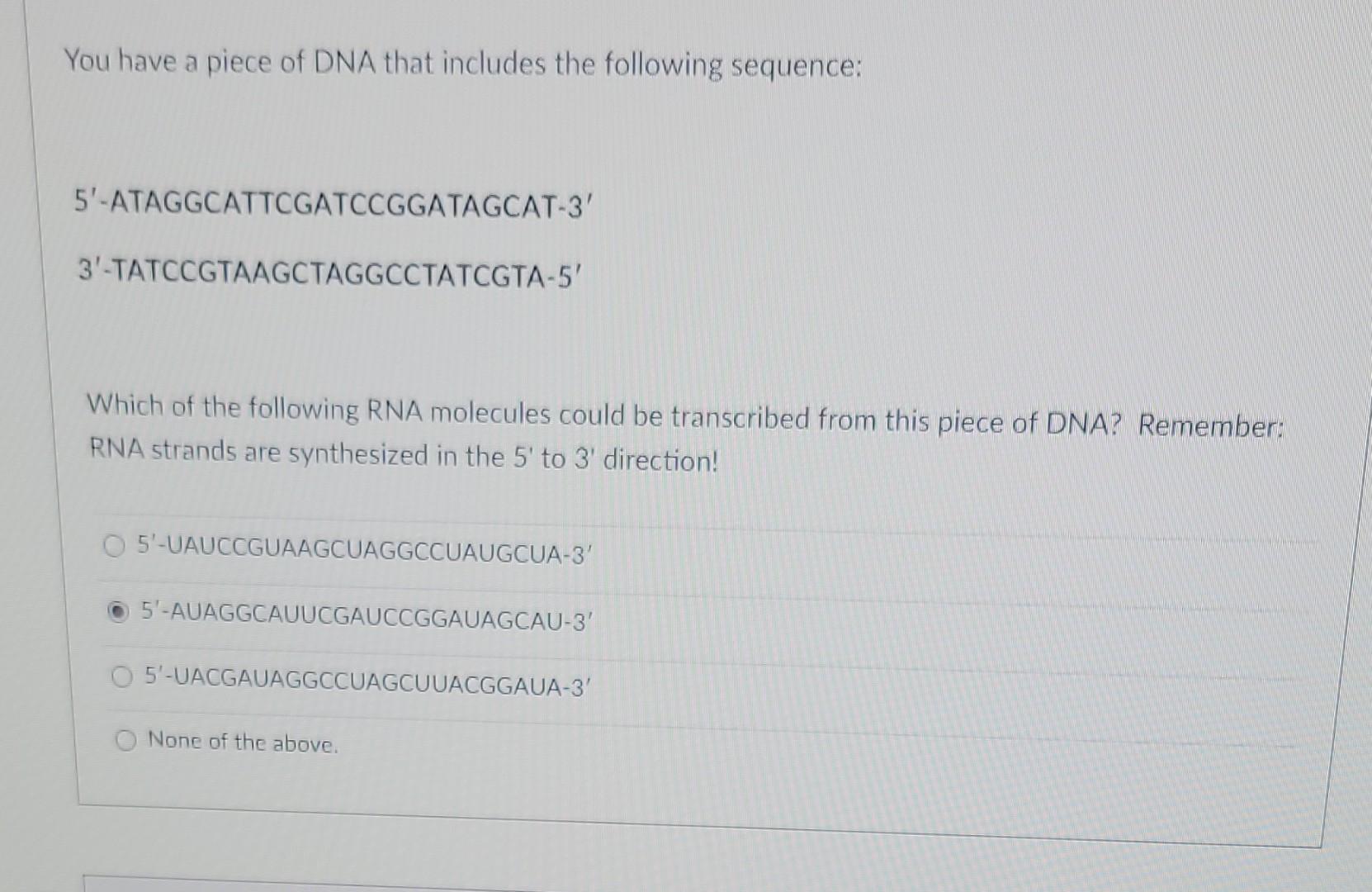 Solved You have a piece of DNA that includes the following | Chegg.com