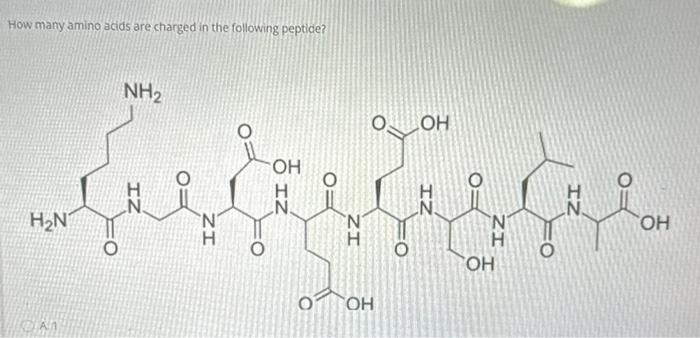 Solved How many amino acids are charged in the following | Chegg.com