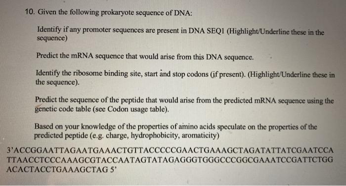 Solved 10. Given the following prokaryote sequence of DNA: | Chegg.com