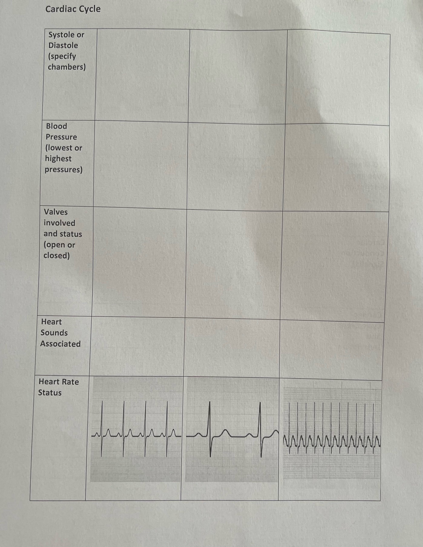 Solved Cardiac Cycle, Anatomy and phisiology2 | Chegg.com