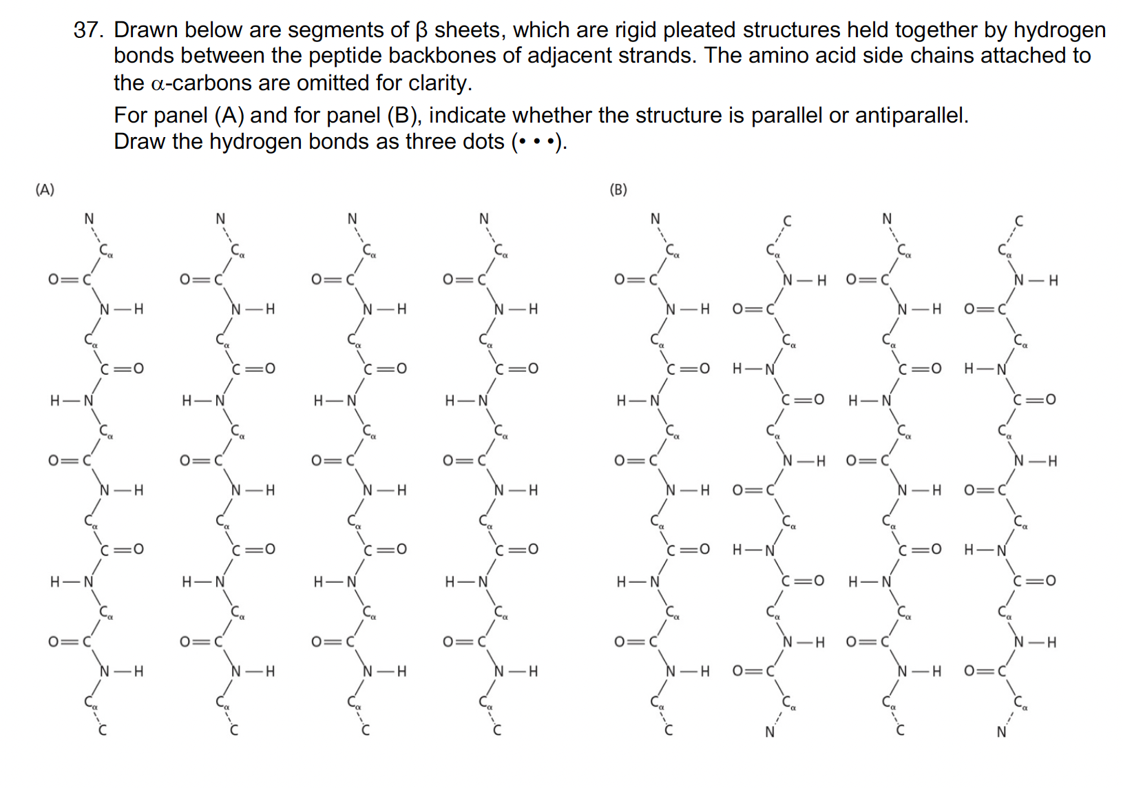 Solved Drawn below are segments of β ﻿sheets, which are | Chegg.com