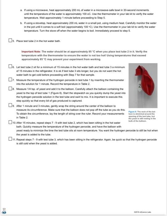 effect of temperature on enzyme activity experiment catalase