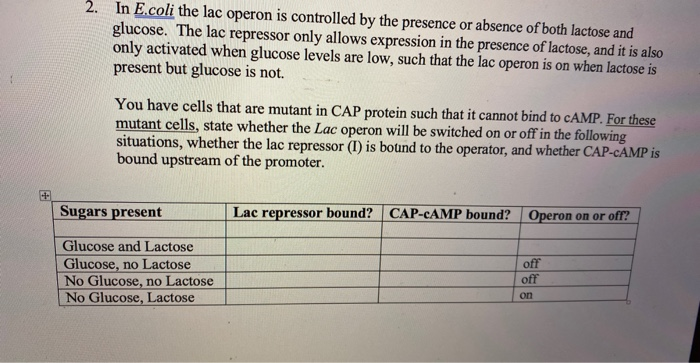 Solved 2. In E.coli the lac operon is controlled by the | Chegg.com