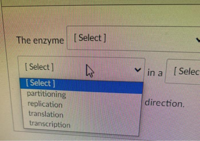 The enzyme [Select] [ Select] v in a in a [ Selec [ Select] partitioning replication translation transcription direction.