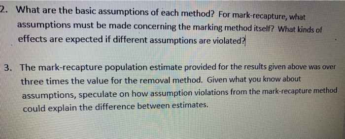 fundamentals-accounting-assumptions-an-overview