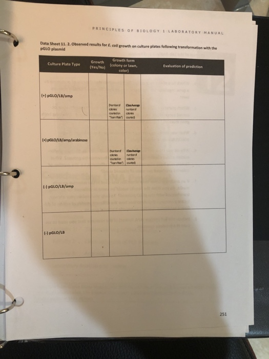 PRINCIPLES OF BIOLOGY LABORATORY MANUAL Data Sheet | Chegg.com