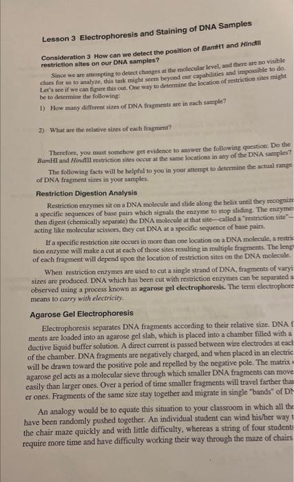 Solved Lesson 3 Electrophoresis and Staining of DNA Samples | Chegg.com