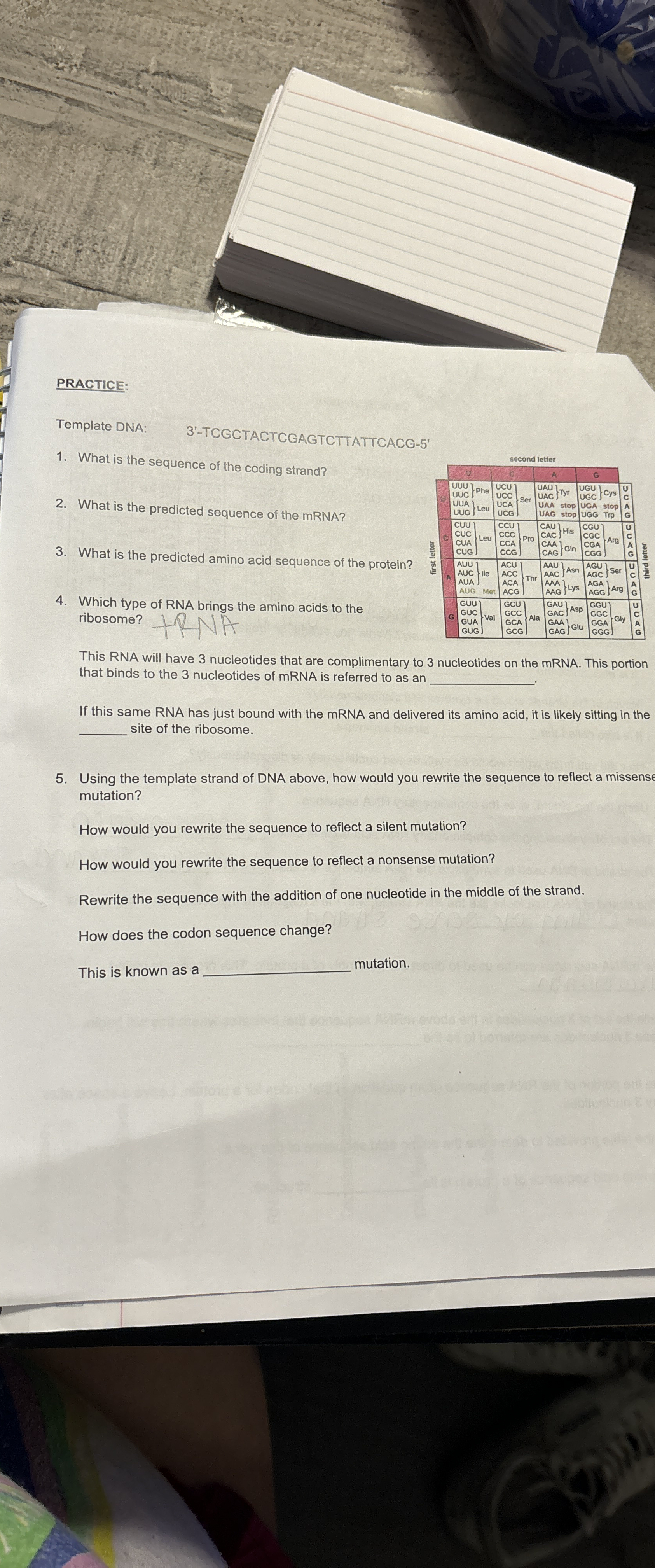 Solved PRACTICE:Template DNA: | Chegg.com