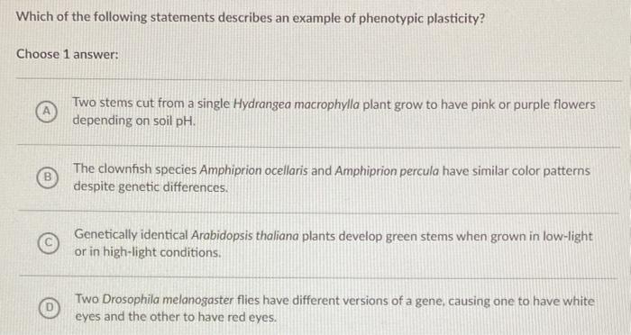Solved Which Of The Following Statements Describes An Chegg