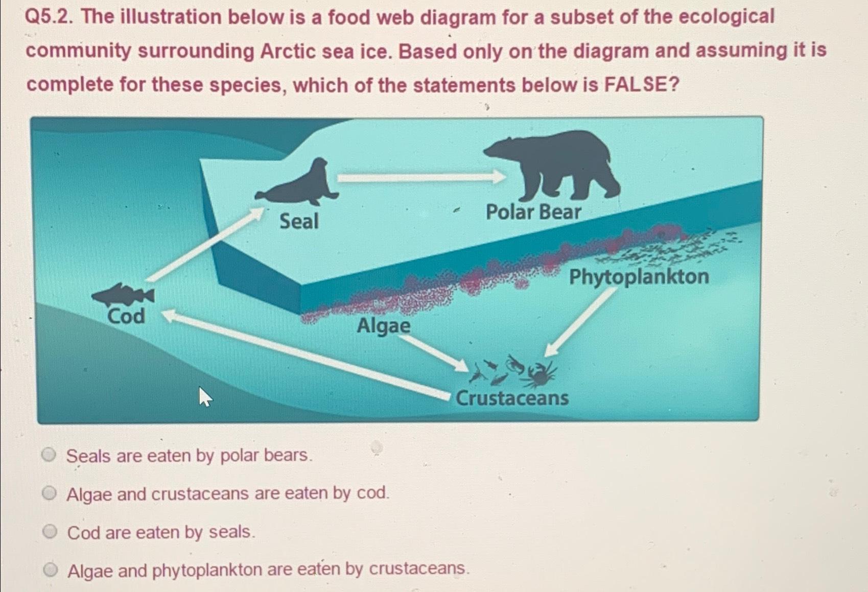 solved-q5-2-the-illustration-below-is-a-food-web-diagram-chegg