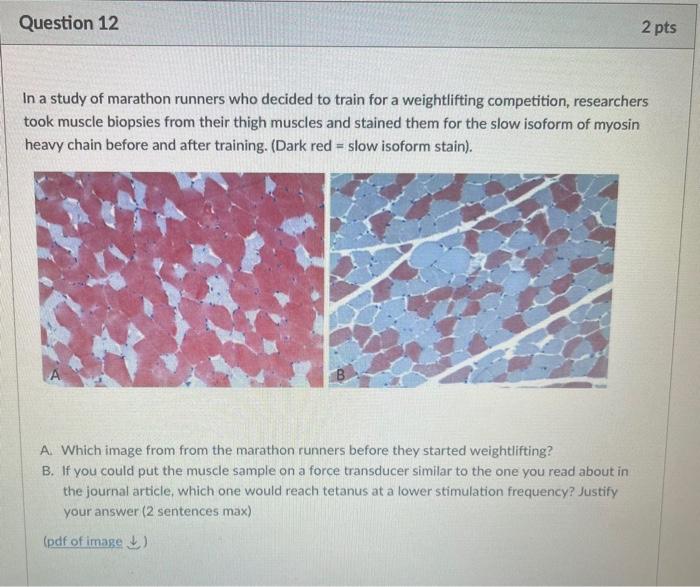 Solved Question 11 1 pts The graph below was generated by | Chegg.com