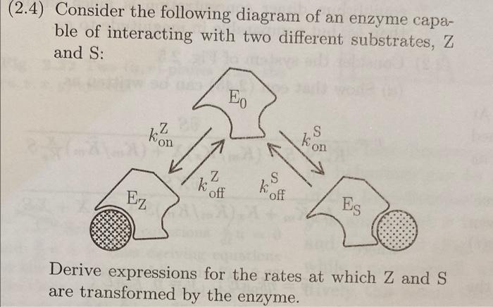 Solved (2.4) Consider the following diagram of an enzyme | Chegg.com