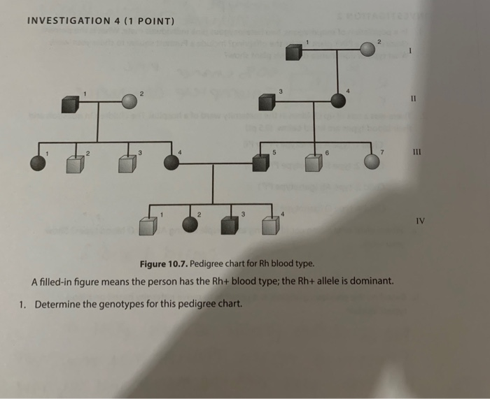 Solved Determine The Genotypes For This Pedigree Chart Chegg Com