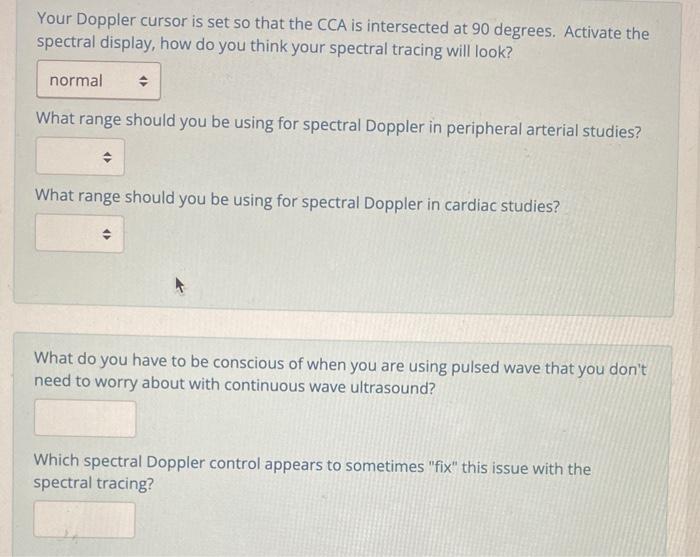 Solved Your Doppler cursor is set so that the CCA is | Chegg.com