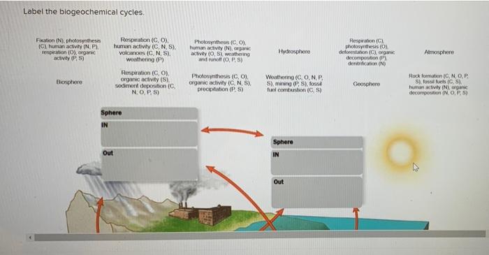 Solved Label the biogeochemical cycles. Fiction (N) | Chegg.com